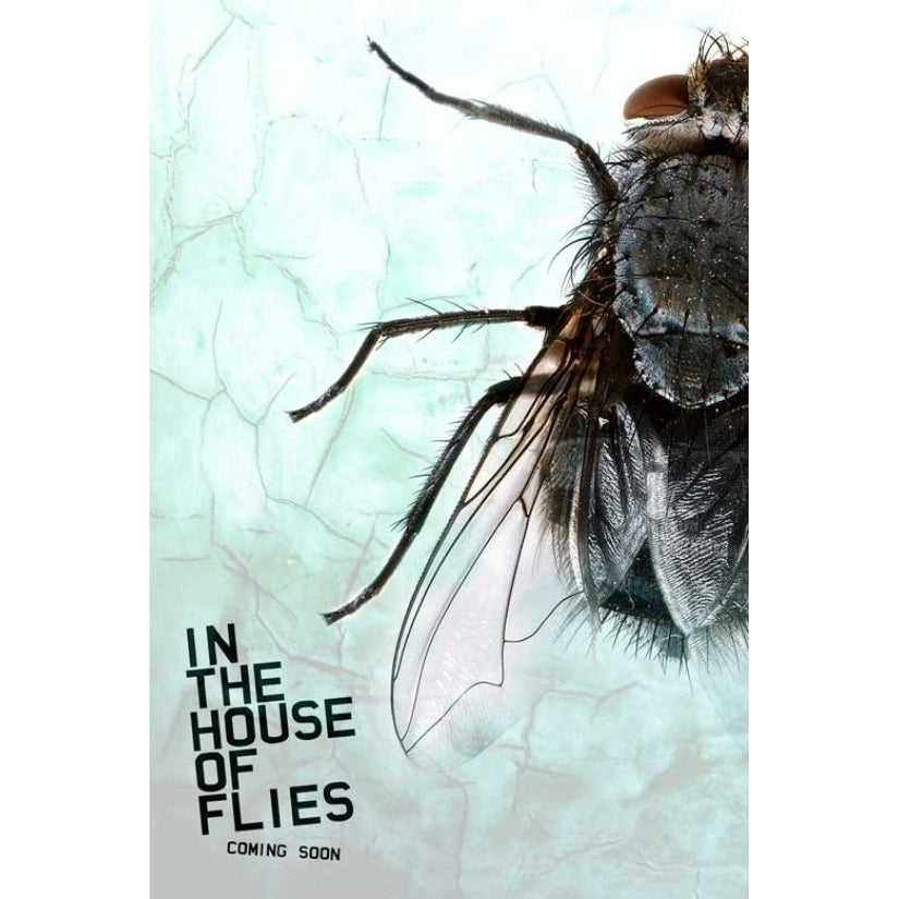 In the House of Flies Movie Poster (11 x 17) - Item MOVAB41583 Image 1