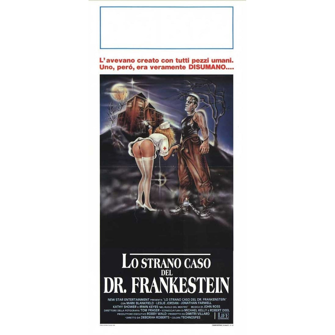 Frankenstein General Hospital Movie Poster (13 x 28) - Item MOVAJ2822 Image 1