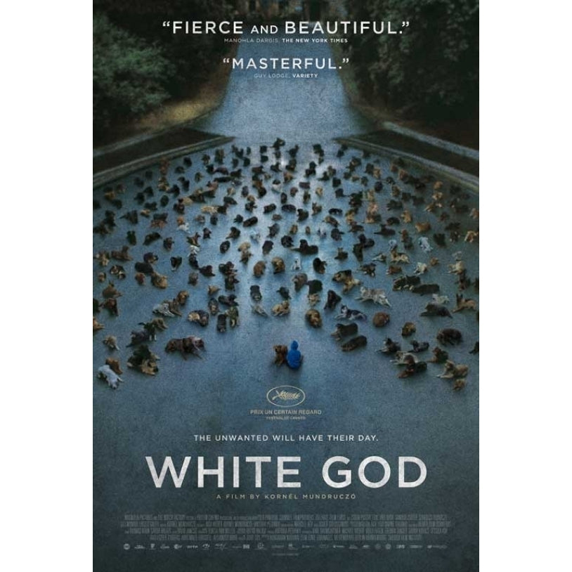 White God Movie Poster (11 x 17) - Item MOVCB10445 Image 1