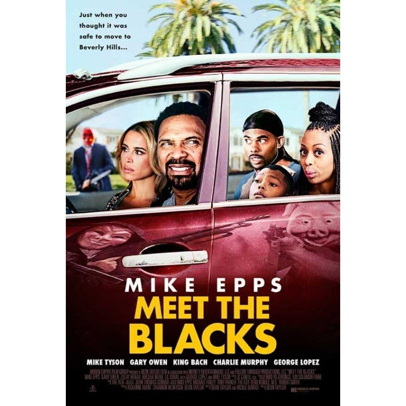 Meet the Blacks Movie Poster (11 x 17) - Item MOVCB10645 Image 1