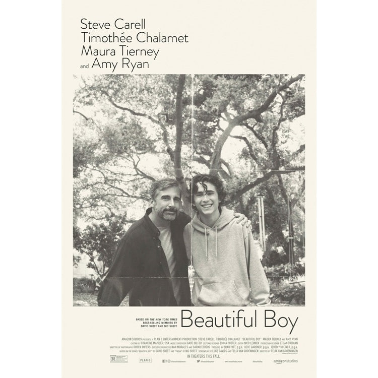 Beautiful Boy Movie Poster Print (27 x 40) - Item MOVCB21755 Image 1