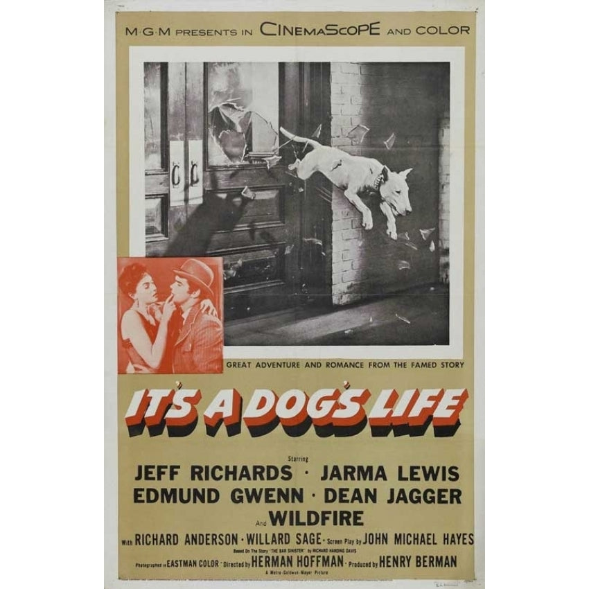 Its a Dogs Life Movie Poster (11 x 17) - Item MOVCB25173 Image 1