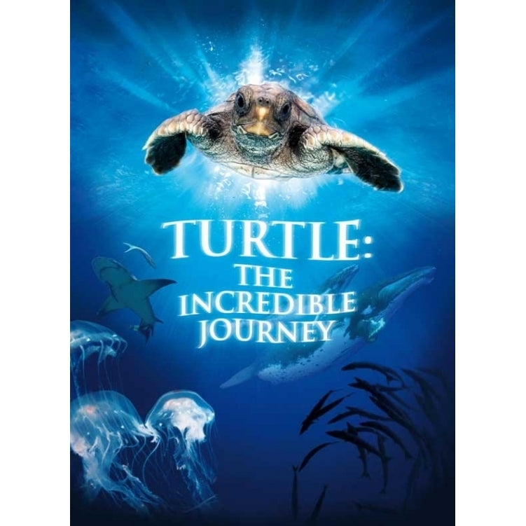 Turtle: The Incredible Journey Movie Poster Print (27 x 40) - Item MOVCB79040 Image 1