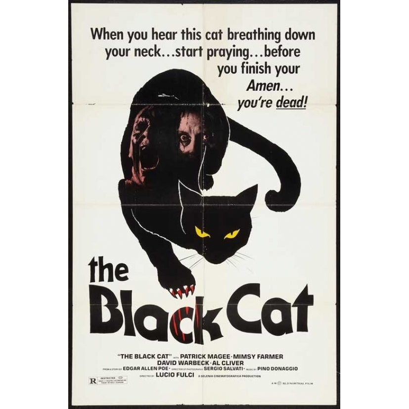 The Black Cat Movie Poster (11 x 17) - Item MOVCB81121 Image 1