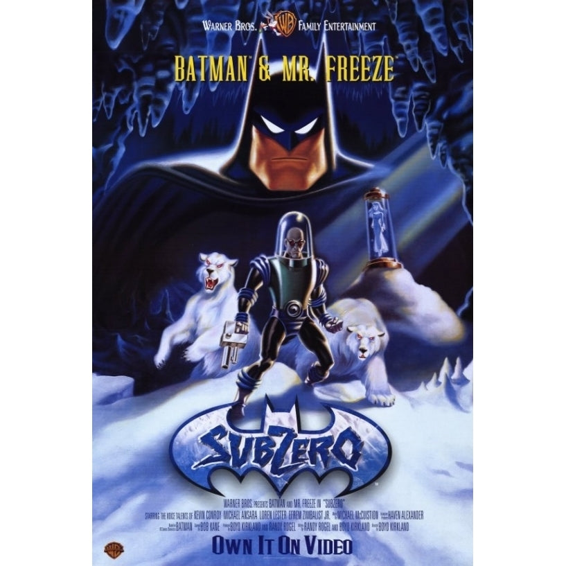 Batman and Mr. Freeze SubZero Movie Poster (11 x 17) - Item MOVCE9315 Image 1