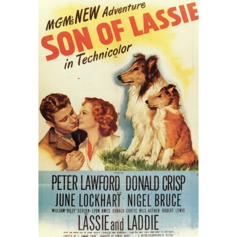 Son of Lassie Movie Poster Print (27 x 40) - Item MOVCF6337 Image 1