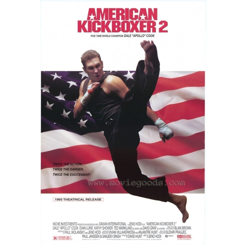 American Kickboxer 2 Movie Poster Print (27 x 40) - Item MOVCF8321 Image 1