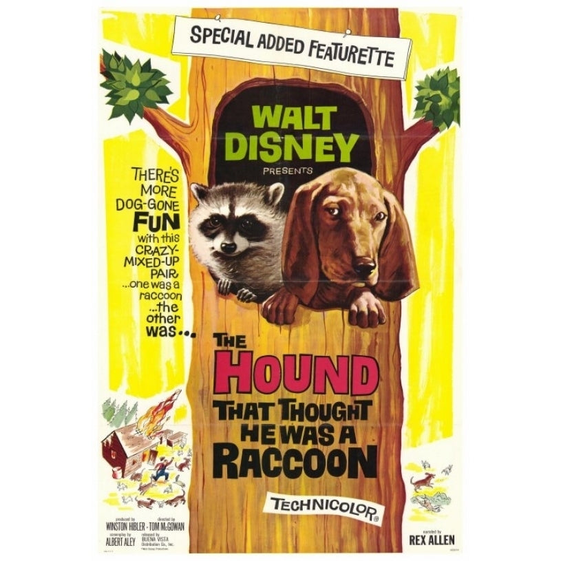 The Hound That Thought He Was a Racoon Movie Poster Print (27 x 40) - Item MOVCH4094 Image 1