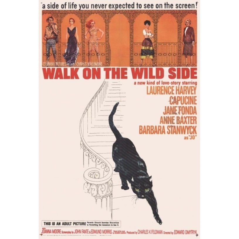 Walk on the Wild Side Movie Poster Print (27 x 40) - Item MOVCH8207 Image 1