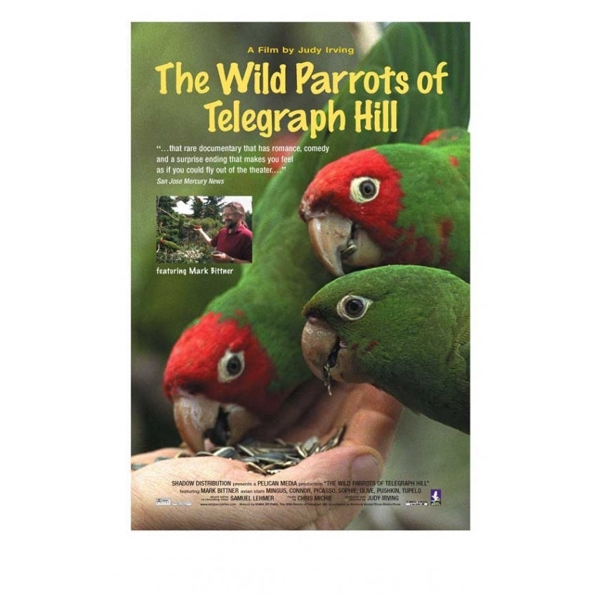 The Wild Parrots of Telegraph Hill Movie Poster Print (27 x 40) - Item MOVCJ4576 Image 1