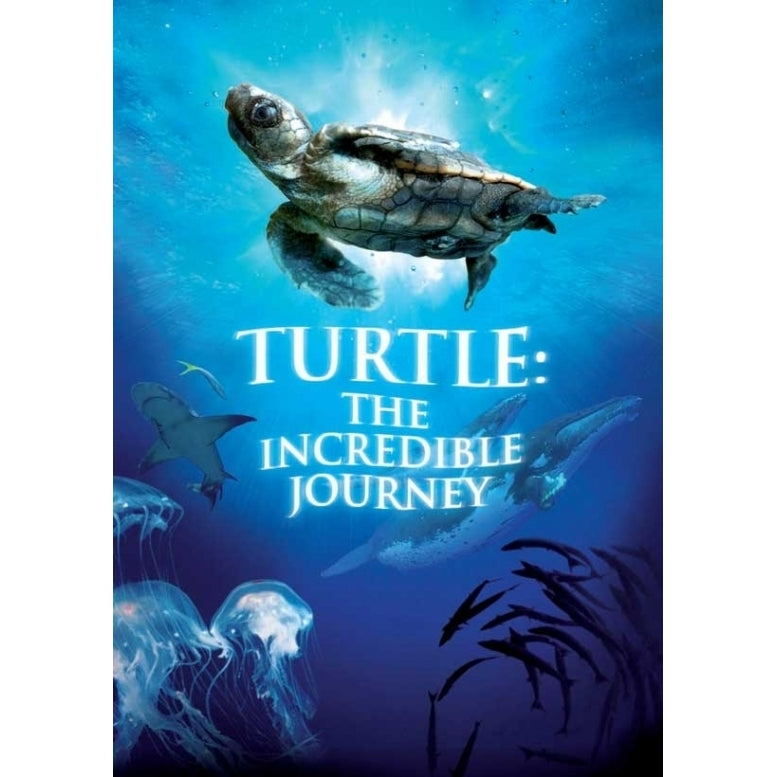 Turtle The Incredible Journey Movie Poster (11 x 17) - Item MOVEB69040 Image 1