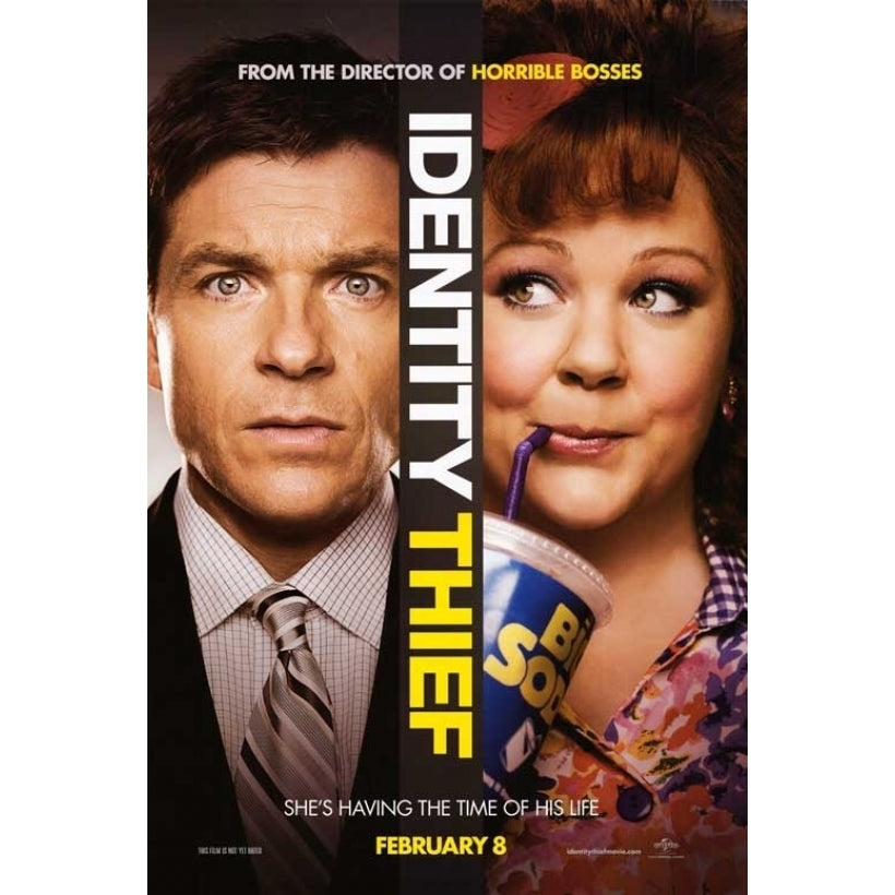 Identity Thief Movie Poster (11 x 17) - Item MOVEB98705 Image 1