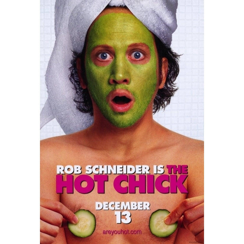 The Hot Chick Movie Poster Print (27 x 40) - Item MOVEF3400 Image 1