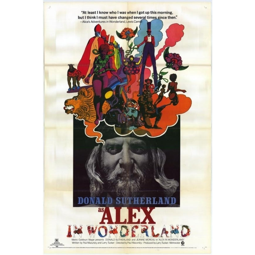 Alex in Wonderland Movie Poster (11 x 17) - Item MOVEF6083 Image 1