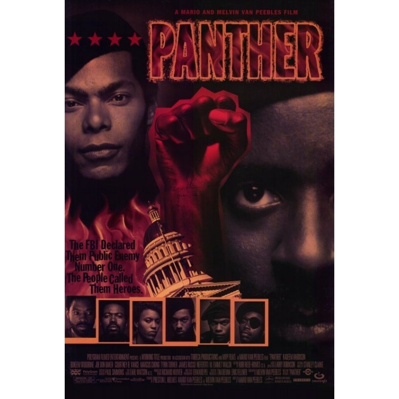 Panther Movie Poster Print (27 x 40) - Item MOVEF8400 Image 1