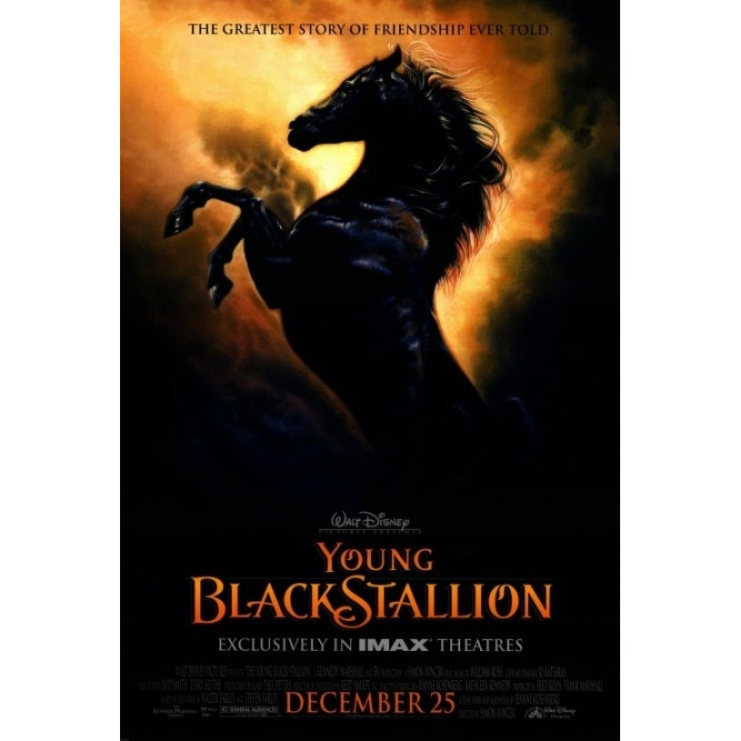 Young Black Stallion Movie Poster Print (27 x 40) - Item MOVEF9307 Image 1