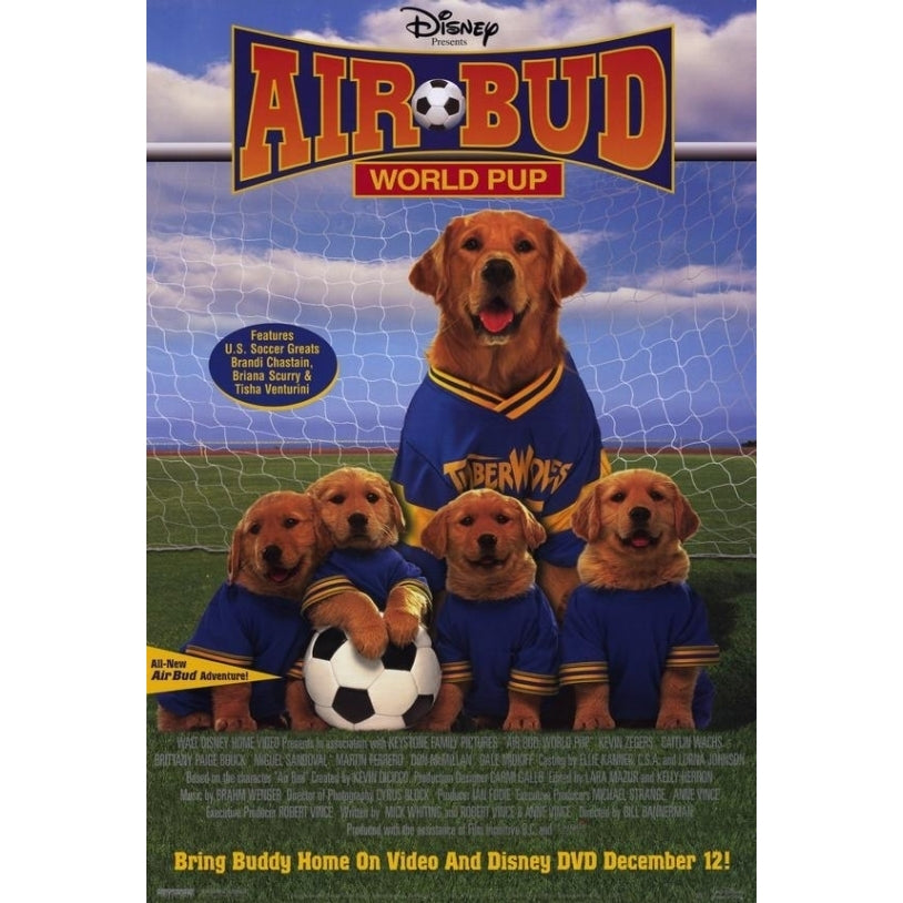 Air Bud World Pup Movie Poster (11 x 17) - Item MOVEI2045 Image 1