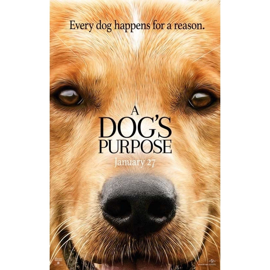 A Dogs Purpose Movie Poster (11 x 17) - Item MOVGB09355 Image 1