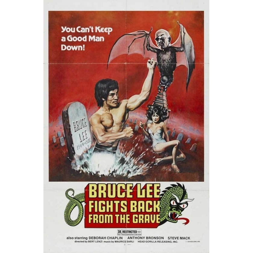 Bruce Lee Fights Back from the Grave Movie Poster (11 x 17) - Item MOVGB20720 Image 1