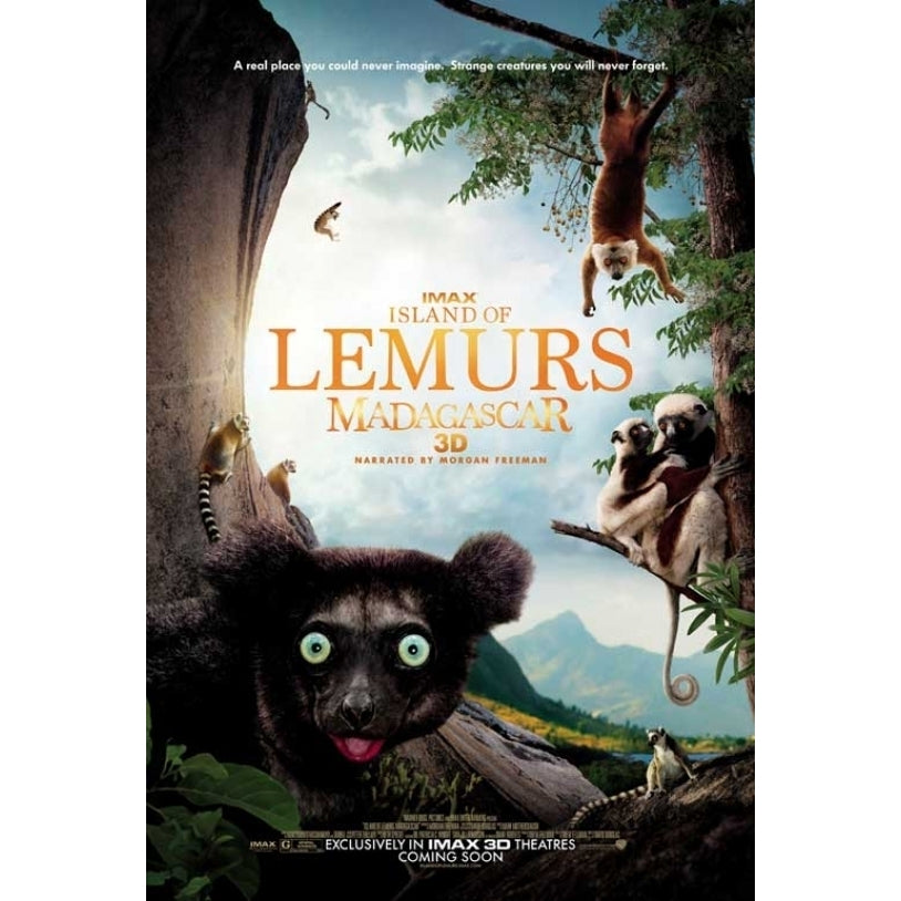 Island of Lemurs Madagascar IMAX 3D Movie Poster (11 x 17) - Item MOVGB44935 Image 1