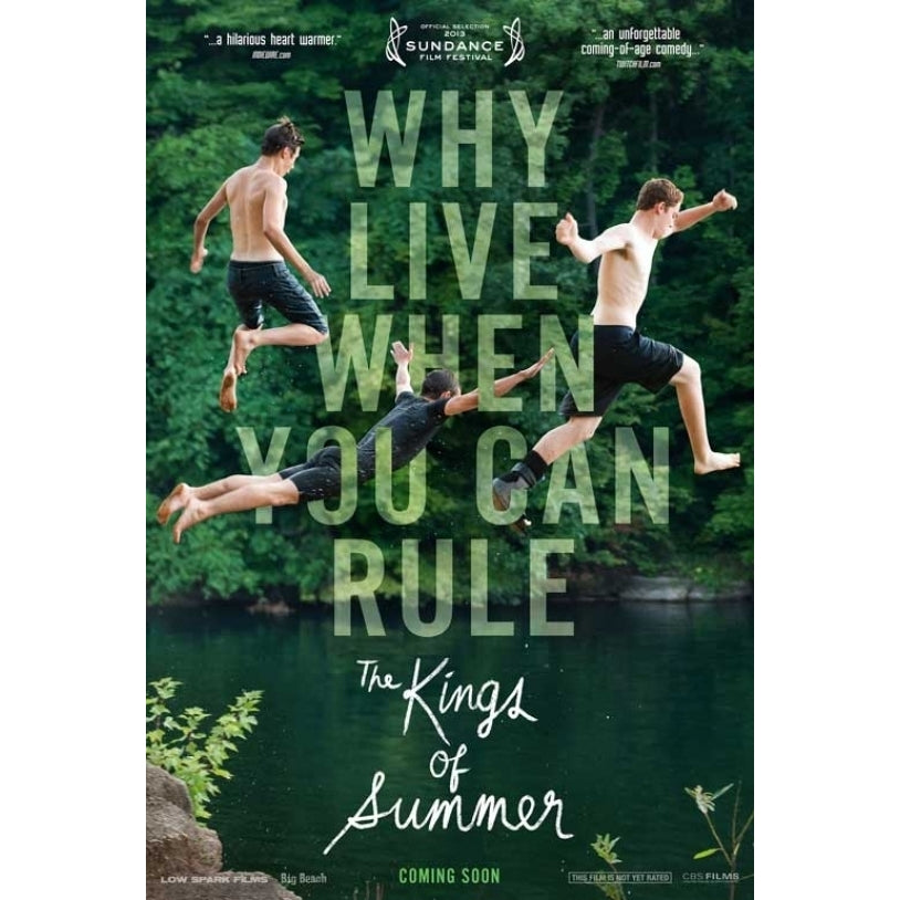 The Kings of Summer Movie Poster Print (27 x 40) - Item MOVGB61015 Image 1