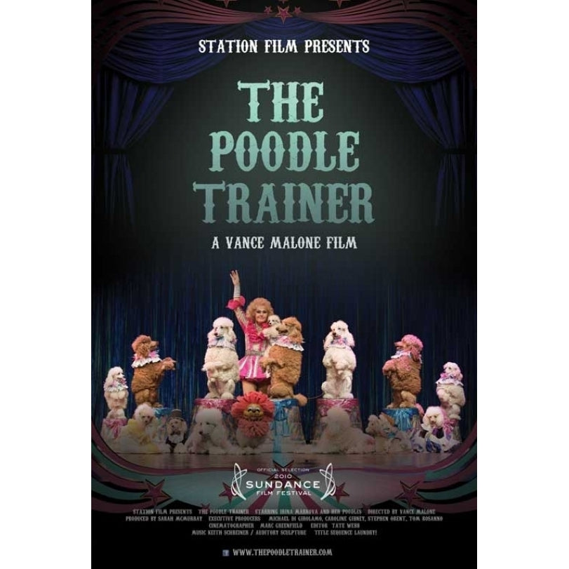 The Poodle Trainer Movie Poster (11 x 17) - Item MOVGB83844 Image 1