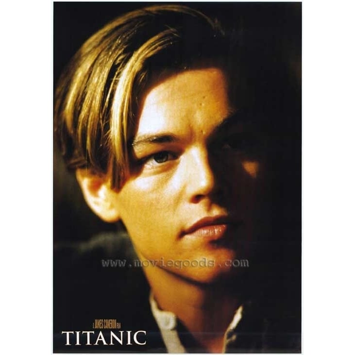 Leonardo DiCaprio Movie Poster Print (11 x 17) - Item MOVGF9046 Image 1