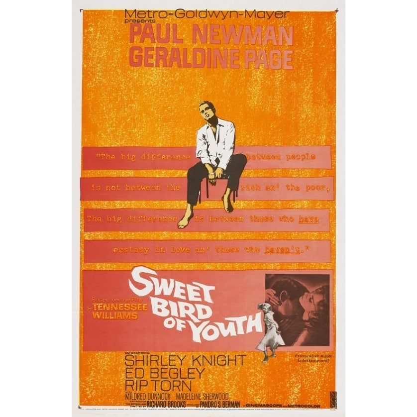 Sweet Bird of Youth Movie Poster Print (27 x 40) - Item MOVGI8370 Image 1