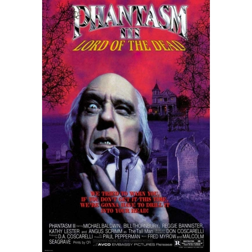 Phantasm 3 Movie Poster (11 x 17) - Item MOVGJ5431 Image 1