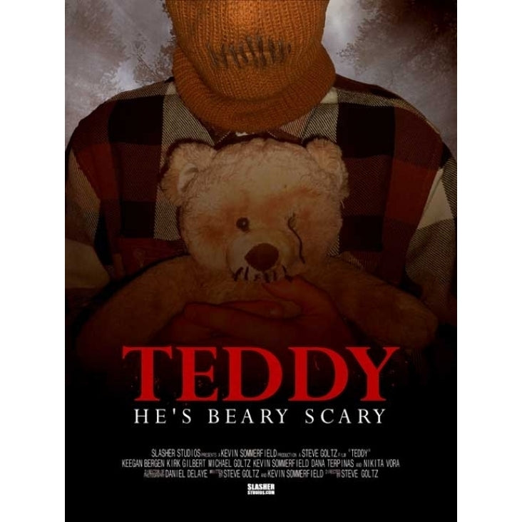 Teddy Its Gonna Be a Bear Movie Poster (11 x 17) - Item MOVIB03104 Image 1