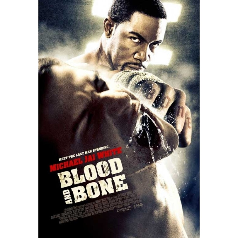 Blood and Bone Movie Poster (11 x 17) - Item MOVIB48780 Image 1