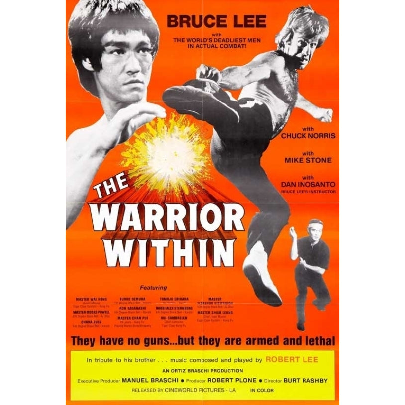 The Warrior Within Movie Poster Print (27 x 40) - Item MOVIB75463 Image 1