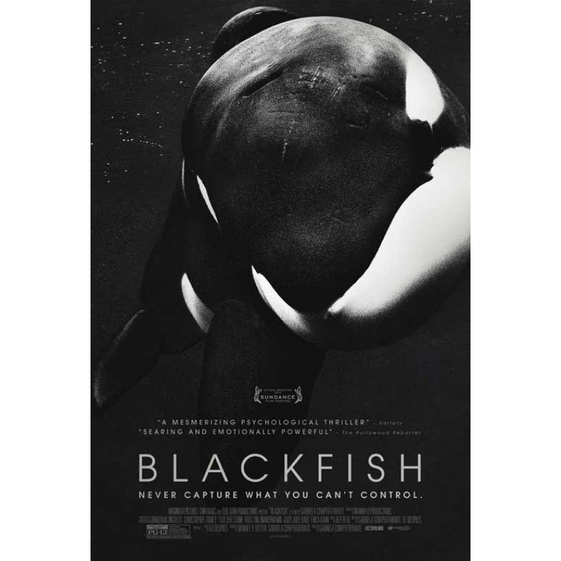 Blackfish Movie Poster (11 x 17) - Item MOVIB87015 Image 1