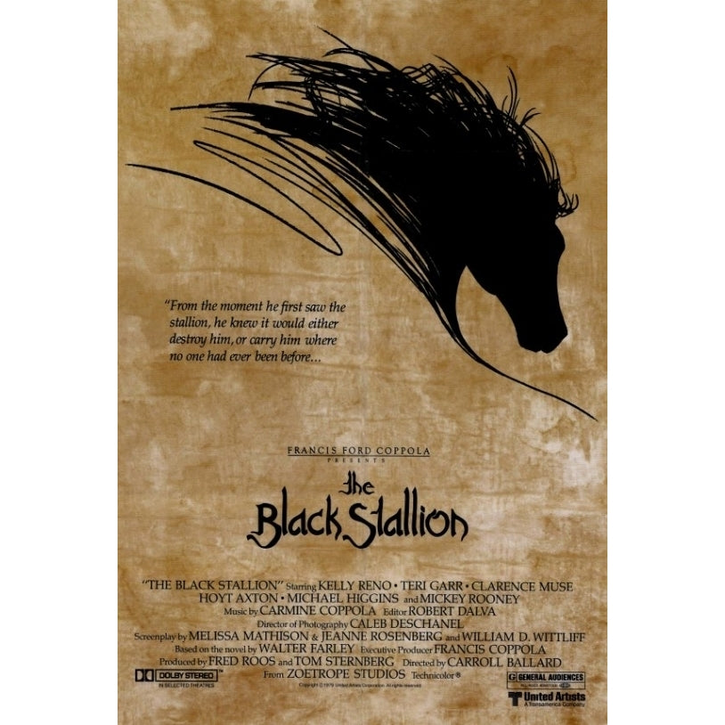 The Black Stallion Movie Poster Print (27 x 40) - Item MOVIF7360 Image 1