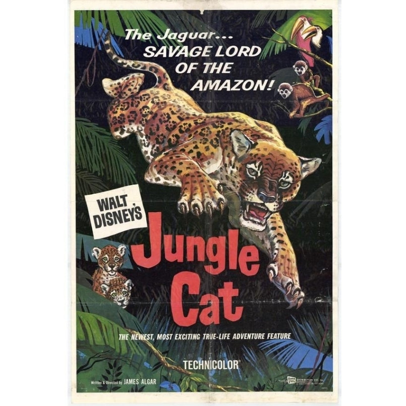 Jungle Cat Movie Poster (11 x 17) - Item MOVIF8058 Image 1