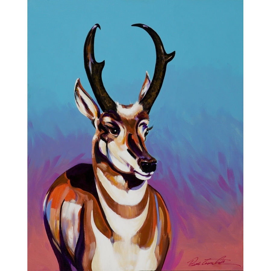 Desert Pronghorn Poster Print by Bob Coonts (22 x 28) Image 1