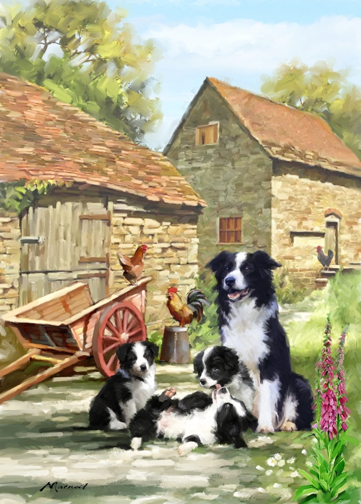 Farmyard Collies Poster Print by The Macneil Studio (18 x 24) Image 1