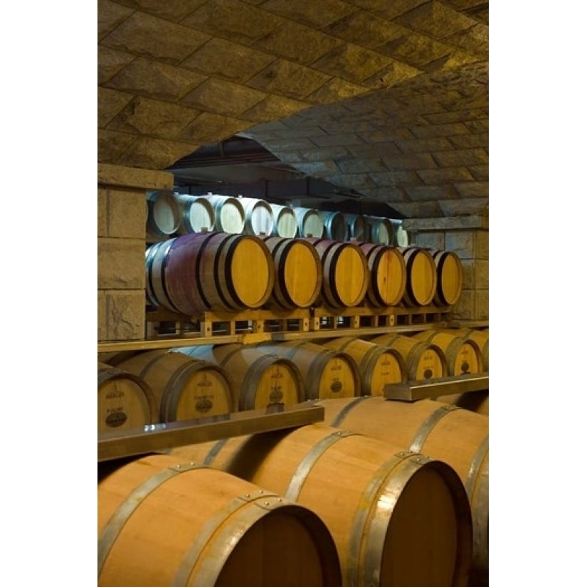 Barrels in cellar at Chateau Changyu-Castel Shandong Province China Print by Janis Miglavs (11 x 17) Image 1