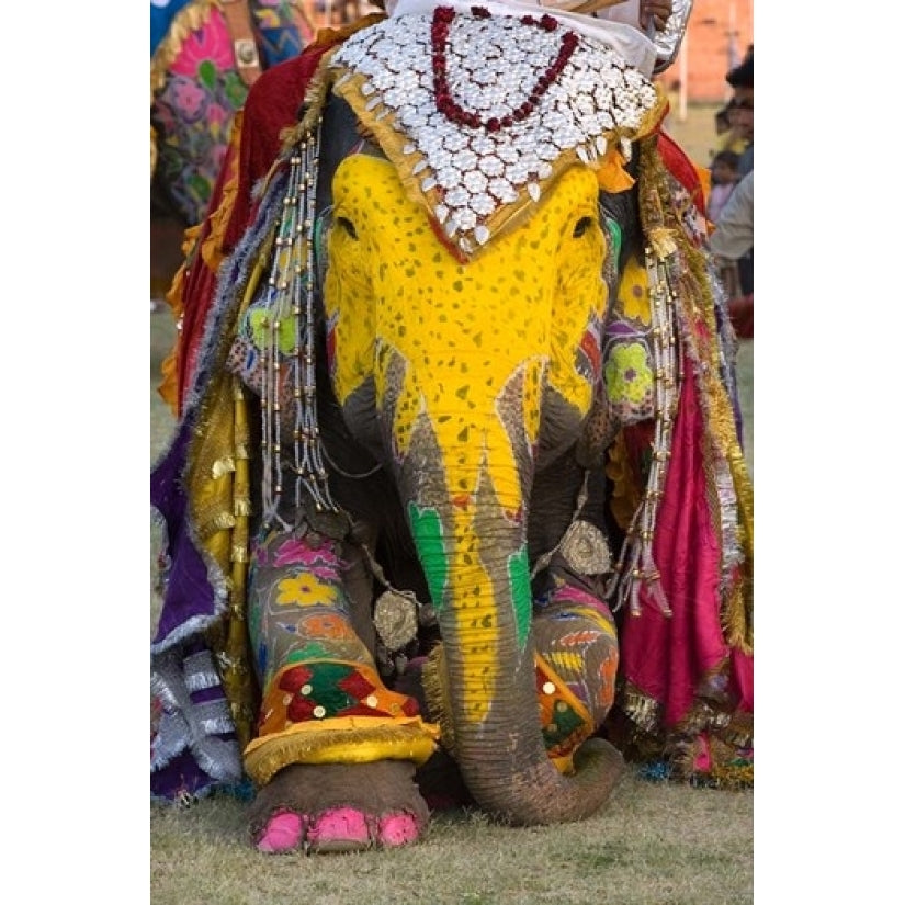 Elephant Festival Jaipur Rajasthan India Poster Print by Philip Kramer (18 x 26) Image 1