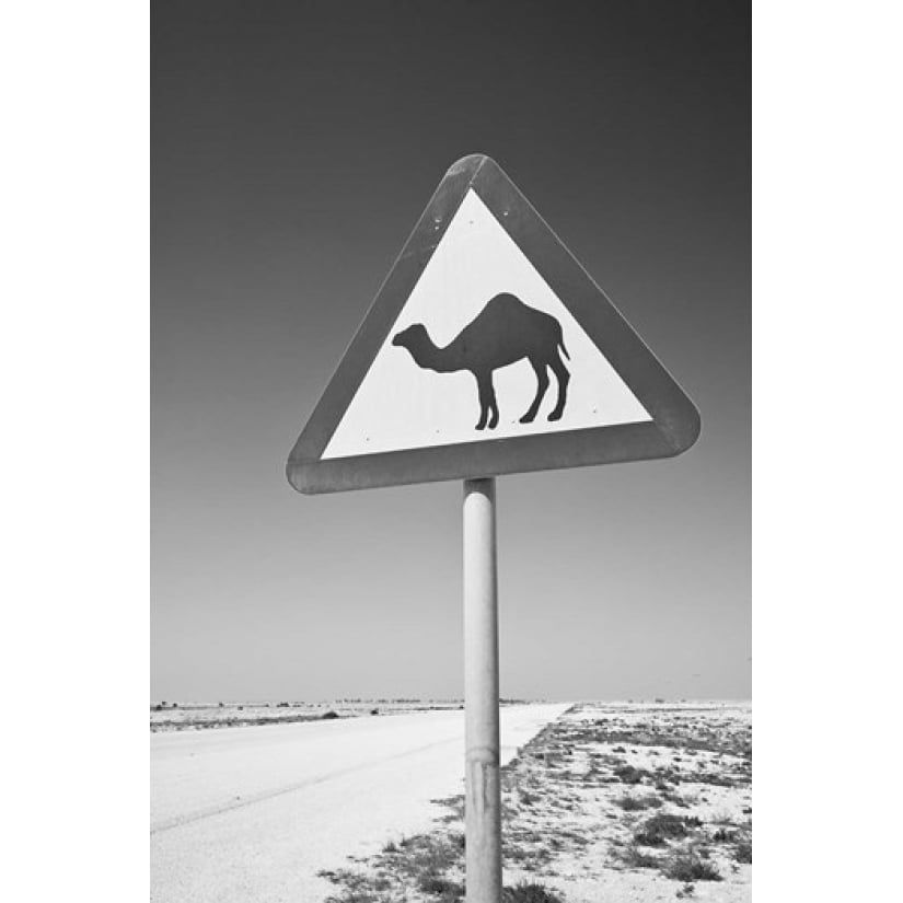 Qatar Al Zubarah. Camel Crossing Sign-Road to Al-Zubarah NW Qatar Print by Walter Bibikow Image 1