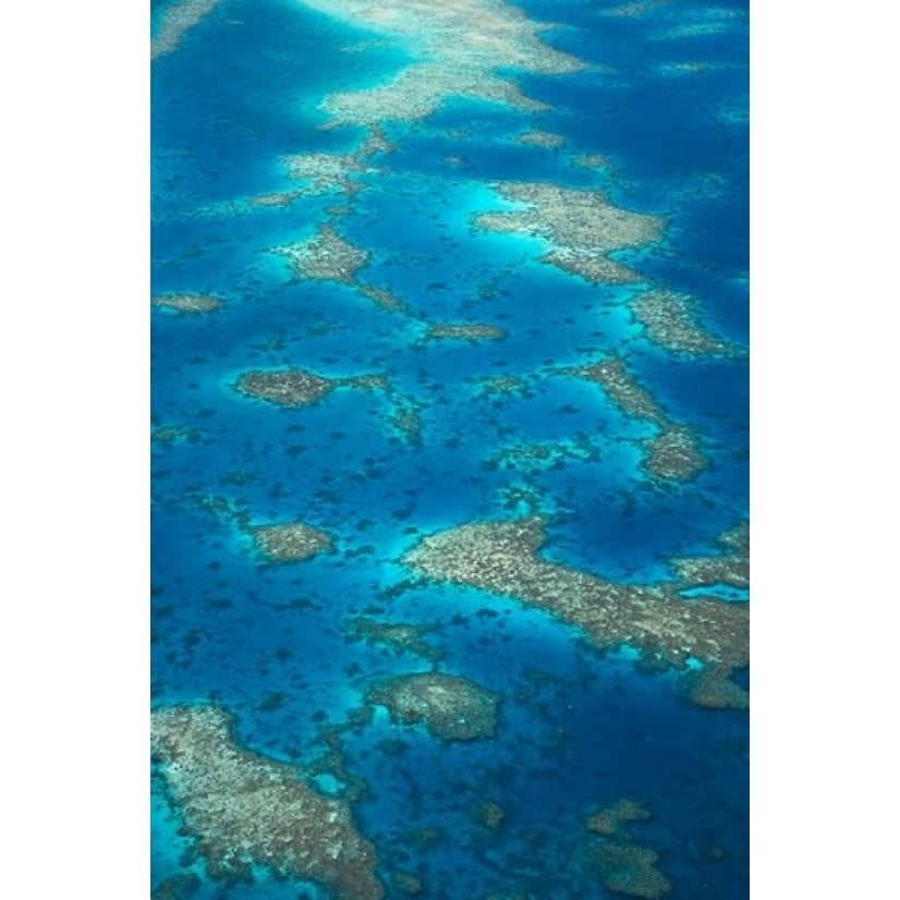 Undine Reef Great Barrier Reef Queensland Australia Poster Print by David Wall (18 x 26) Image 1