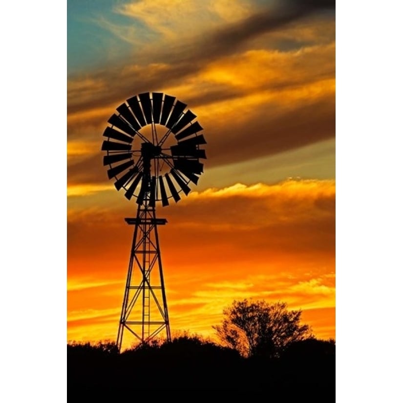 Windmill Oodnadatta Track Outback Australia Poster Print by David Wall (24 x 36) Image 1