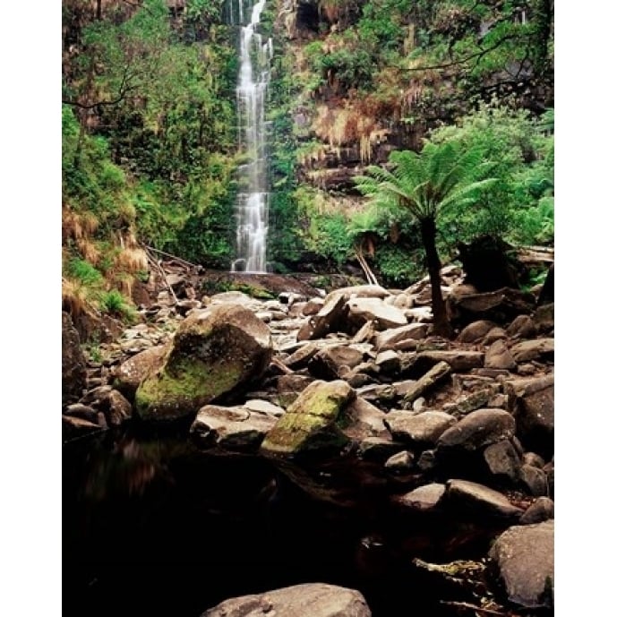 Erskine Falls Lorne Victoria Australia Poster Print by Walter Bibikow (16 x 20) Image 1