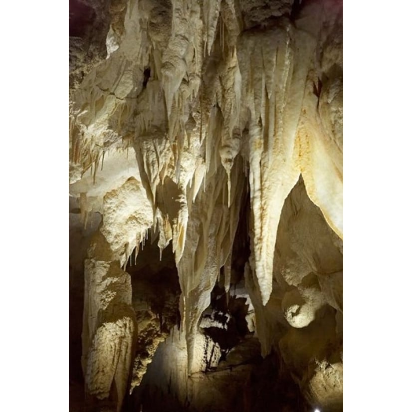 Stalactites Ruakuri Caves North Island Zealand Poster Print by David Wall (23 x 34) Image 1