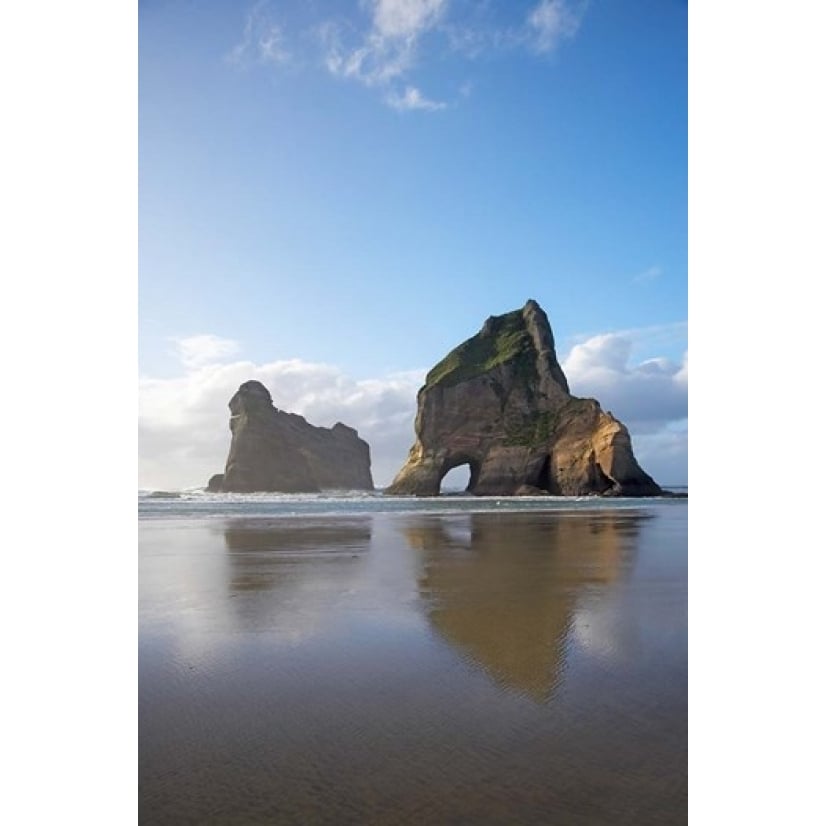 Rock Formation Archway Island South Island Zealand (vertical) Print by David Wall (11 x 17) Image 1