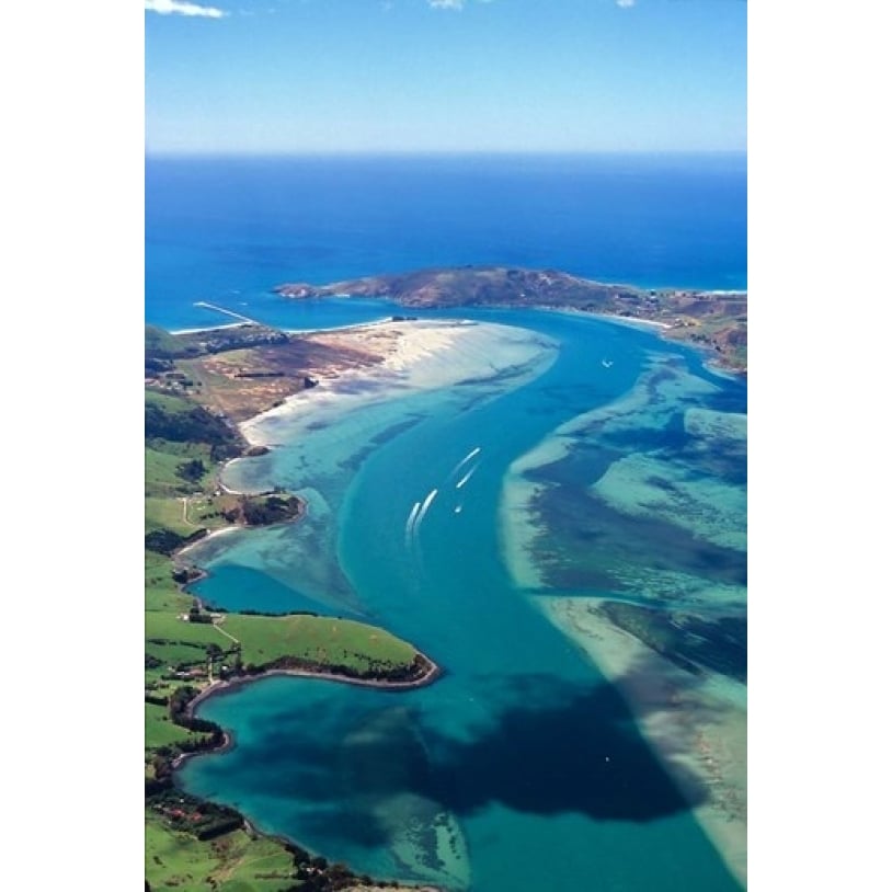 Otago Harbor Dunedin Zealand Poster Print by David Wall (18 x 24) Image 1