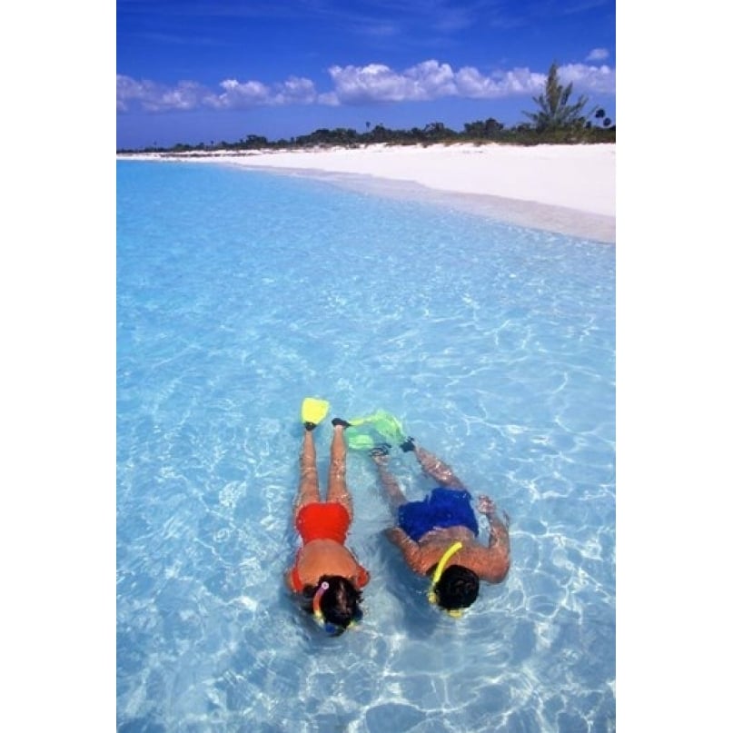 Snorkeling in the blue waters of the Bahamas Poster Print by Greg Johnston (12 x 17) Image 1