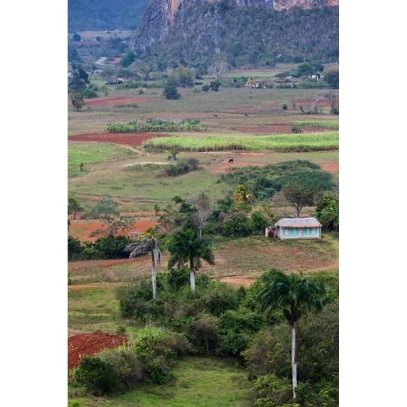 Cuba Pinar del Rio Province Vinales Valley Poster Print by Walter Bibikow (24 x 36) Image 1