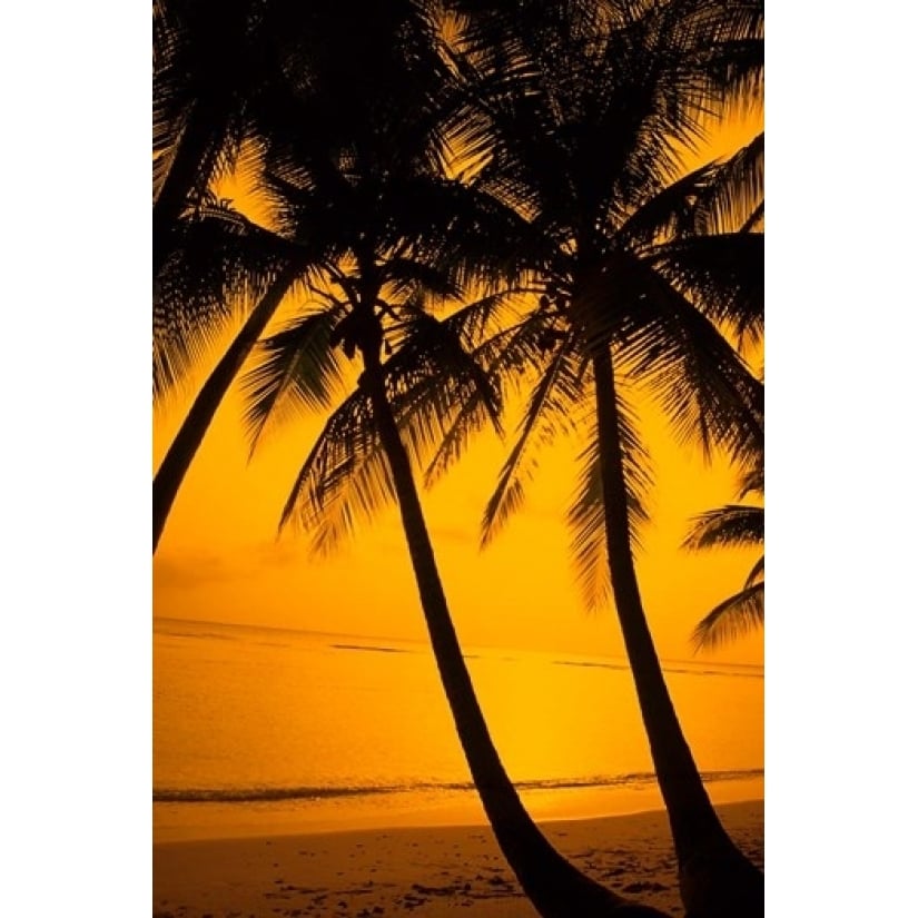 Sunset and Palms San Juan Puerto Rico Poster Print by Bill Bachmann (24 x 36) Image 1