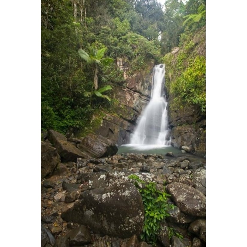 Puerto Rico El Yunque La Mina Waterfalls Poster Print by John and Lisa Merrill (18 x 26) Image 1